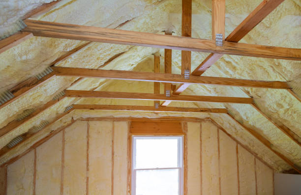 Best Insulation Contractor Near Me  in Au Sable, MI