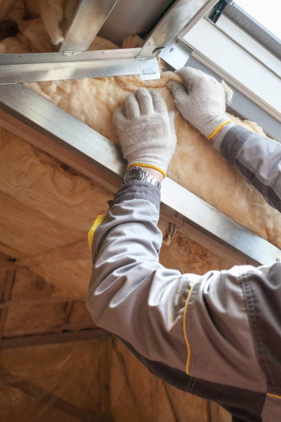 Best Professional Insulation Contractor  in Au Sable, MI