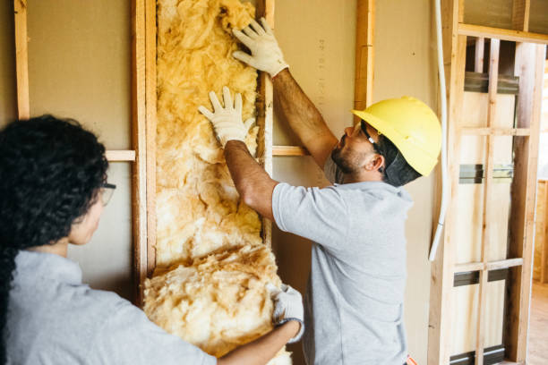 Best Fiberglass Insulation  in Au Sable, MI