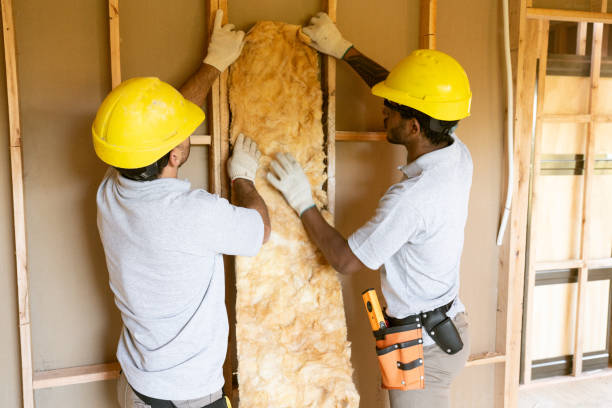 Best Home Insulation Services  in Au Sable, MI