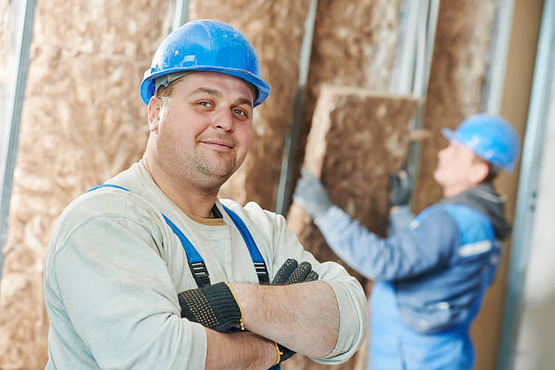 Best Best Insulation Companies  in Au Sable, MI