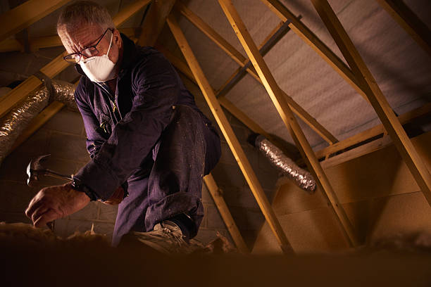 Best Spray Foam Insulation  in Au Sable, MI